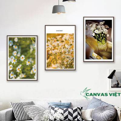  Bộ 3 tranh canvas hoa cúc họa mi HCV0066