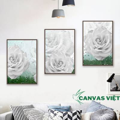  Bộ 3 tranh canvas hoa hồng trắng HCV0062
