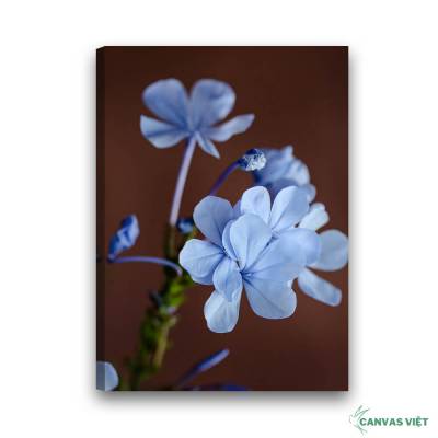  Tranh canvas hoa sữa xanh H020