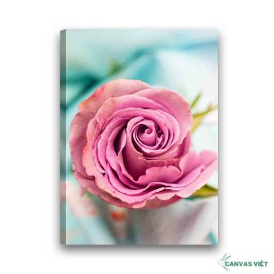  Tranh canvas hoa hồng phấn H019