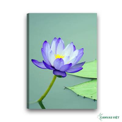  Tranh canvas hoa sen xanh H032