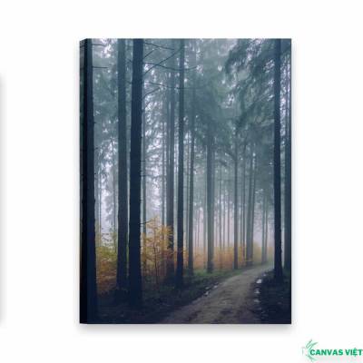  Tranh canvas phong cảnh rừng thông PC015