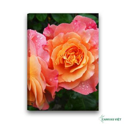  Tranh canvas hoa hồng H022
