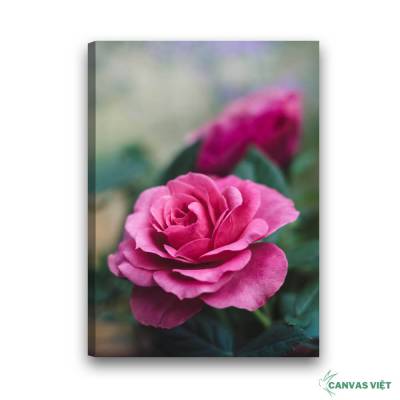  Tranh canvas hoa hồng H025
