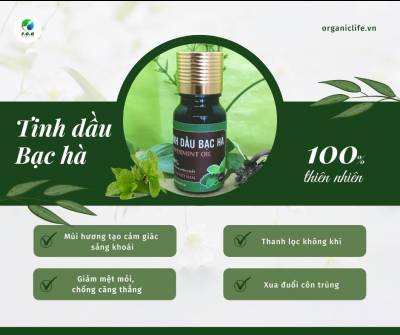 TINH DẦU BẠC HÀ KAIER 10ml