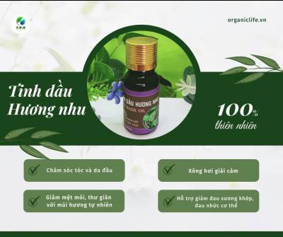 TINH DẦU HƯƠNG NHU KAIER 10ML