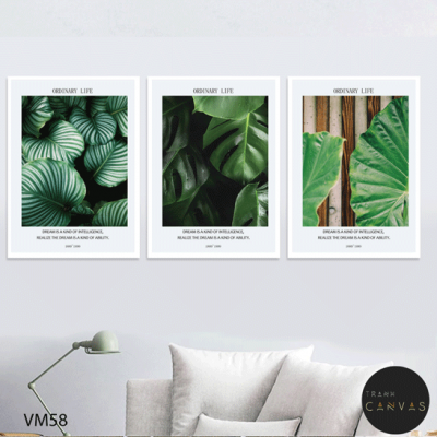 Tranh bộ 3 bức 3 cây lá nhiệt đới xanh mát trang trí nội thất -VM58