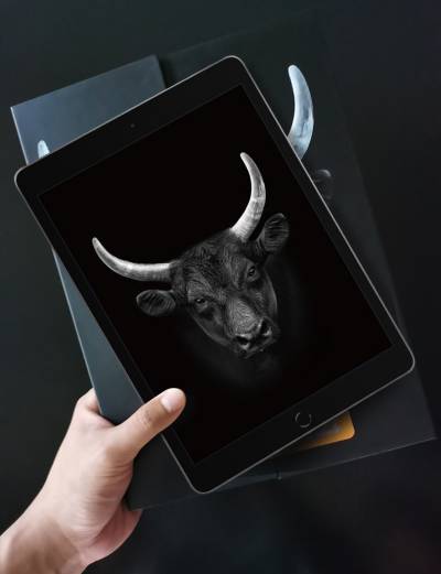 Dán cường lực Mipow Kingbull iPad 10.9 (BJ204D)