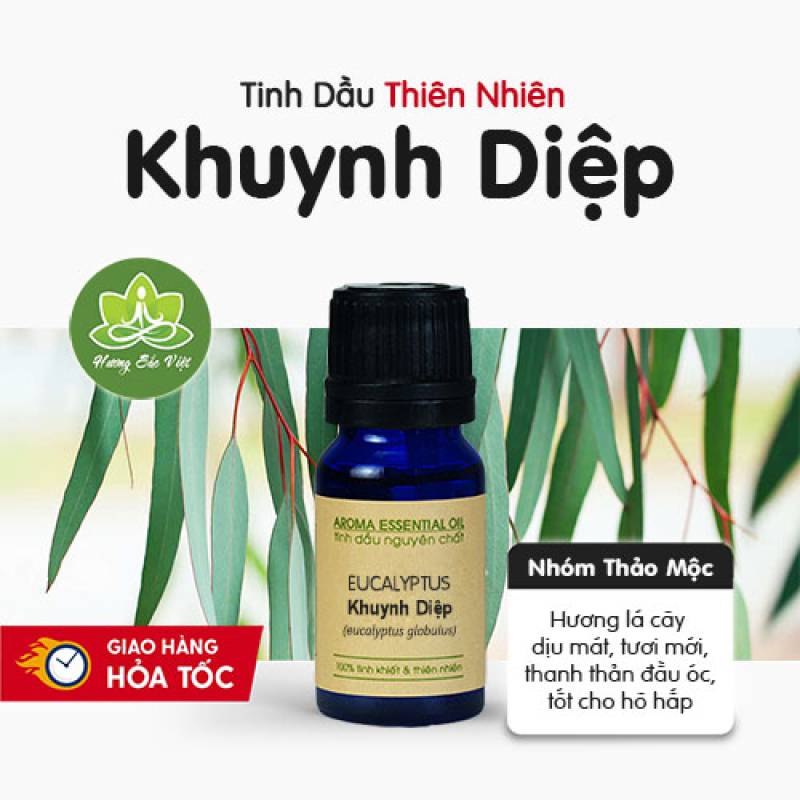 Tinh dầu Khuynh Diệp