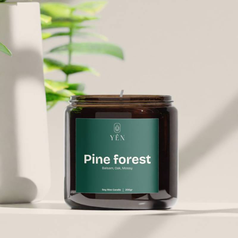 Nến thơm Pine Forest