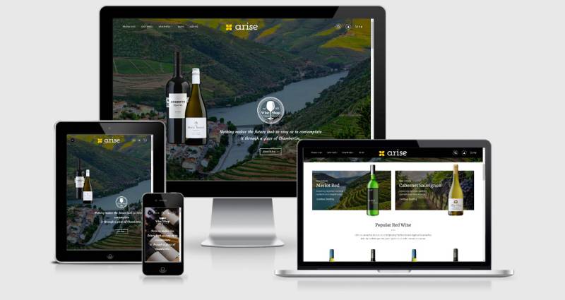 Arise - Wordpress theme bán rượu vang rượu ngoại đẹp