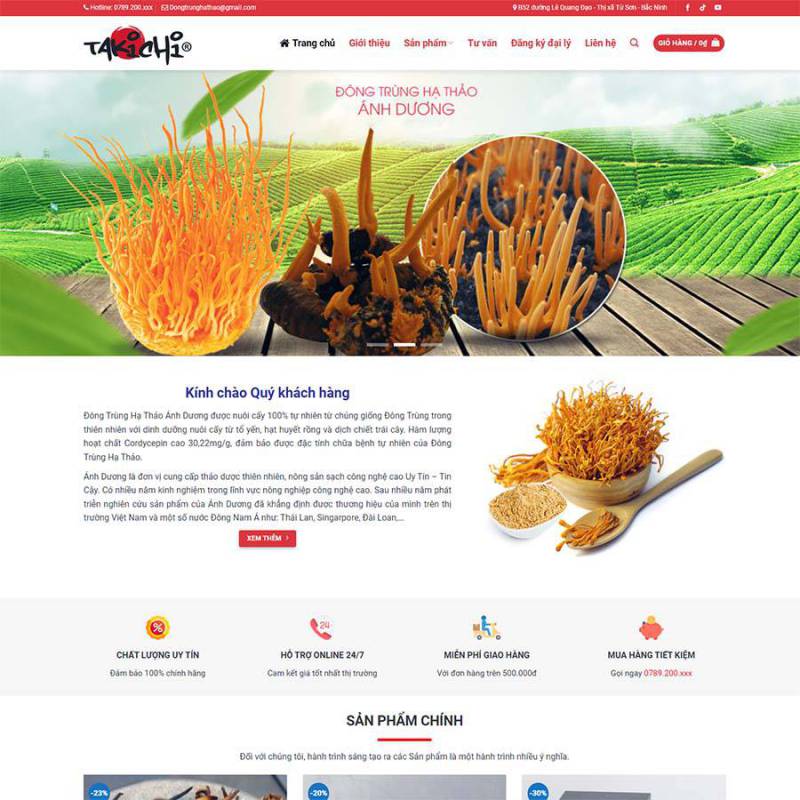  Theme WordPress đông trùng hạ thảo