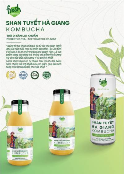 Shan Tuyết Hà Giang Kombucha: Trà sản vật lợi khuẩn tốt cho hệ tiêu hoá, chống lão hoá