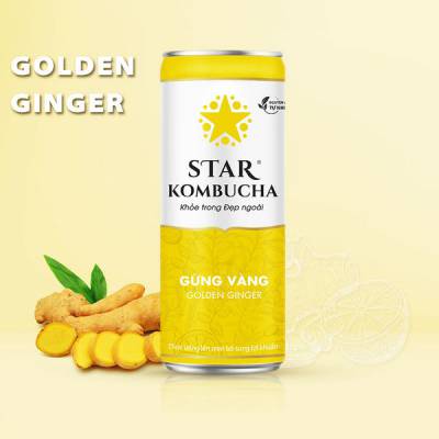 Thùng 12 lon thức uống lên men STAR KOMBUCHA Gừng Vàng/ Golden Ginger (250ml/lon)