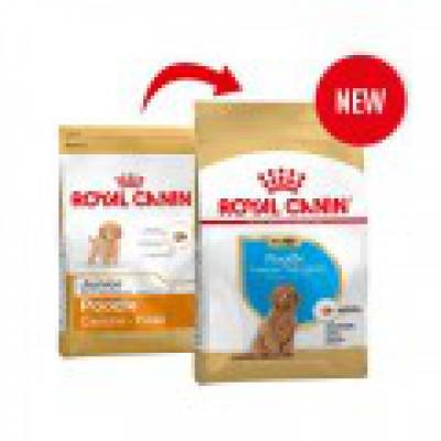 Thức ăn cho chó Poodle - Royal Canin Poodle junior (500g)
